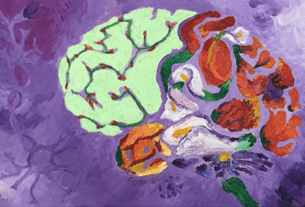 Painted illustration of a human brain with different colourful, textured regions, representing cognitive development
