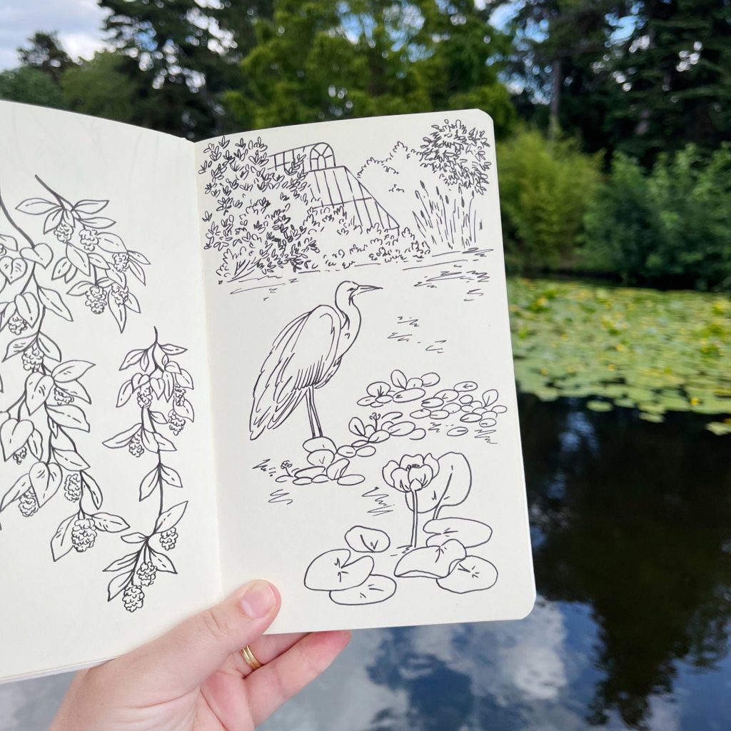 Hand holding an open sketchbook with nature drawings of a heron and water lilies beside the real pond scene