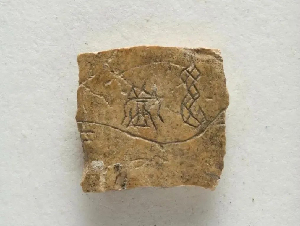 Fragment of a late Shang dynasty oracle bone inscription bearing the character 它, an early form of the word for snake, with a triangular head, patterned body, and coiled tail