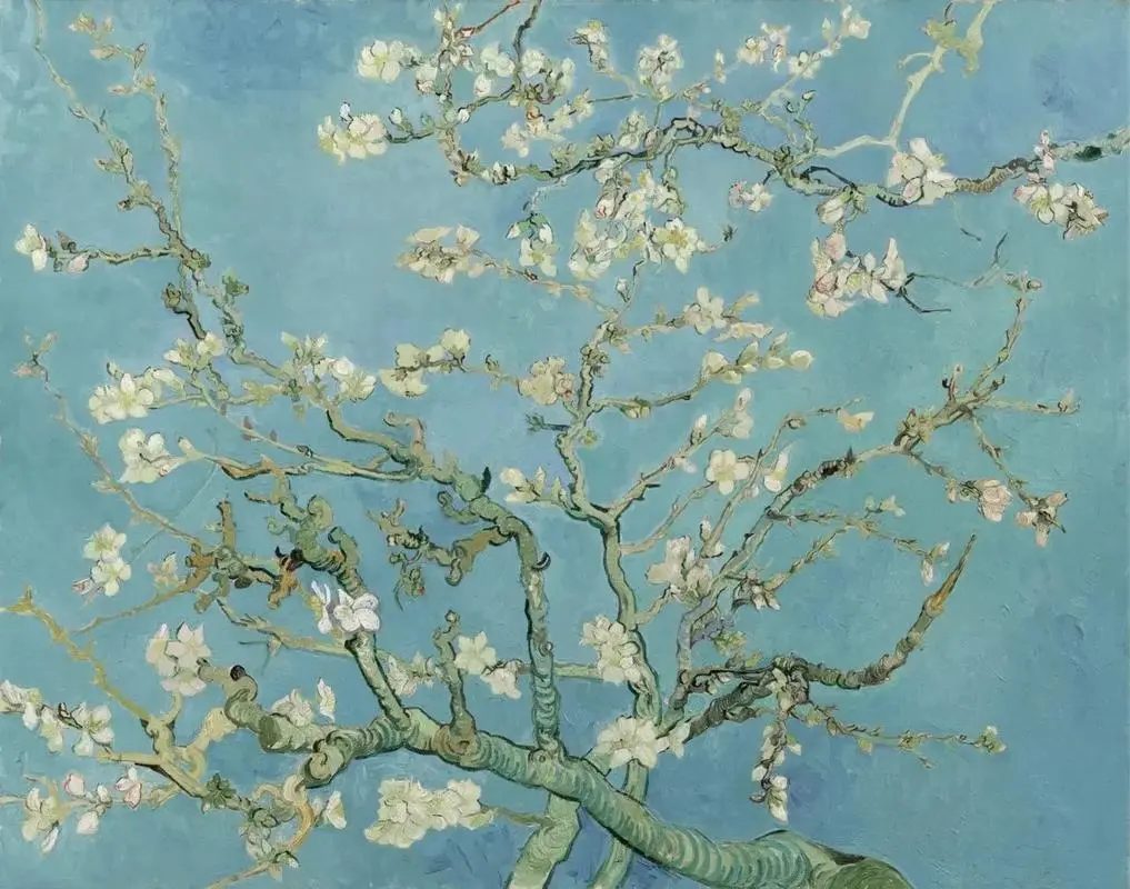 Vincent van Gogh's Almond Blossoms painting, white blossoms on dark branches against a blue sky
