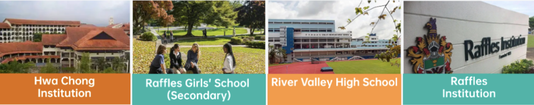 Four schools that admit students through DSA: Hwa Chong Institution, Raffles Girls' School (Secondary), River Valley High School, and Raffles Institution