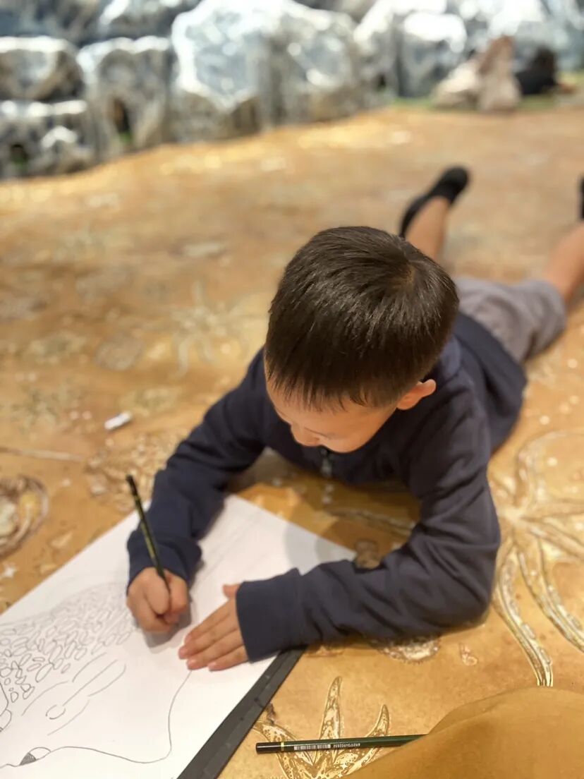 A boy lies on a patterned museum floor, absorbed in drawing on paper