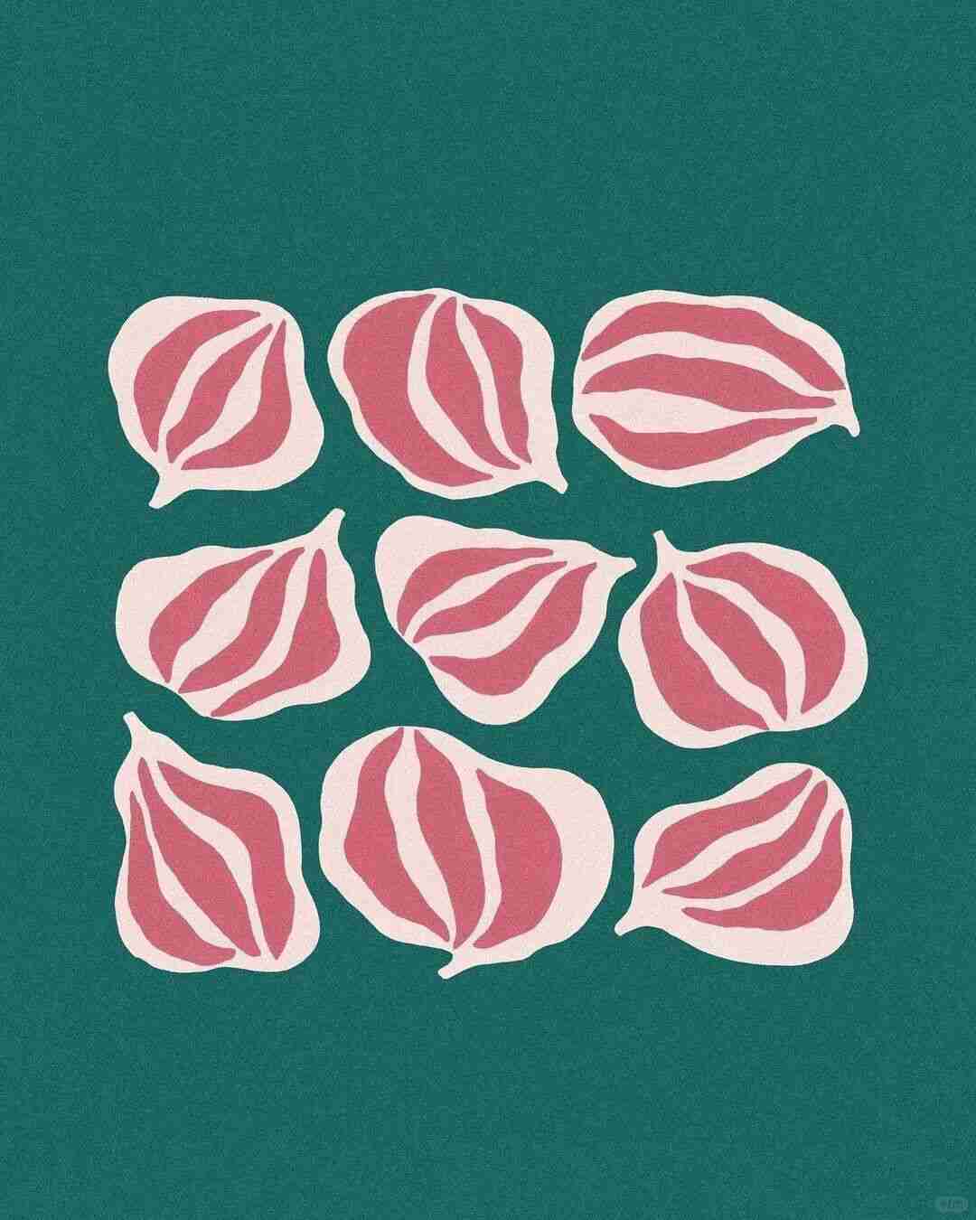 Illustration by Liv Lee inspired by Australian garden flora
