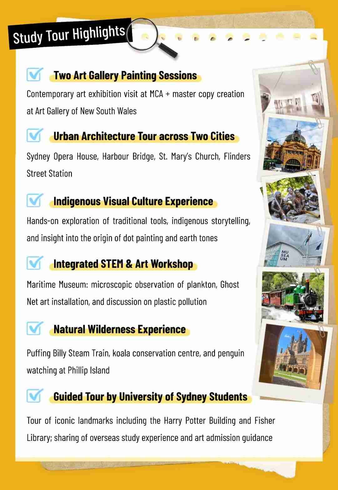 Study Tour Highlights infographic listing gallery painting sessions, an urban architecture tour, an Indigenous visual culture experience, a STEM and art workshop, a nature wilderness experience, and a University of Sydney student-guided tour