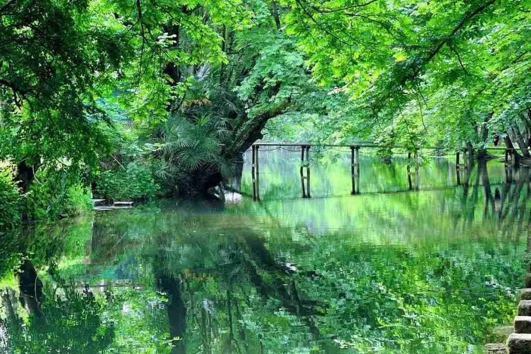 China in Porcelain, Huizhou in Dreams: 7-Day, 6-Night Immersive Journey