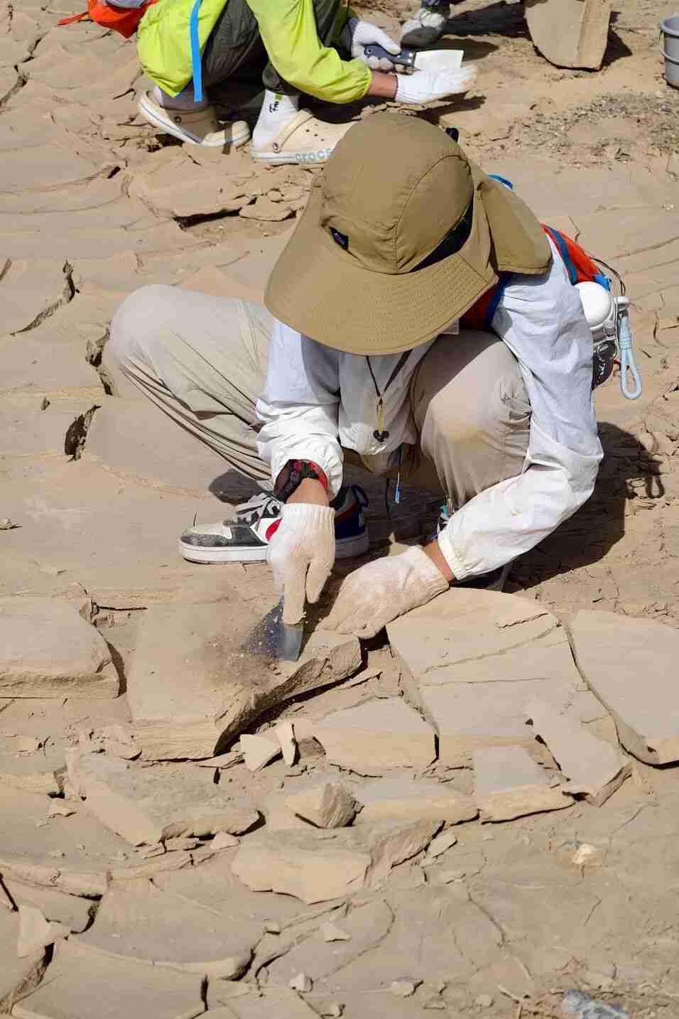 Collecting Chengbang soil and five-colored sand in the Gobi Desert
